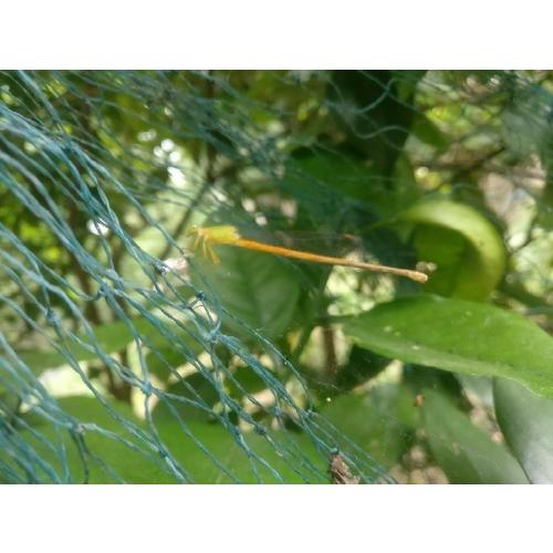 沉默的大多数：王小波经典作品集（20周年纪念版）