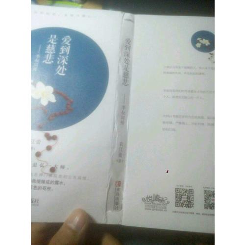 爱到深处是慈悲：李叔同传