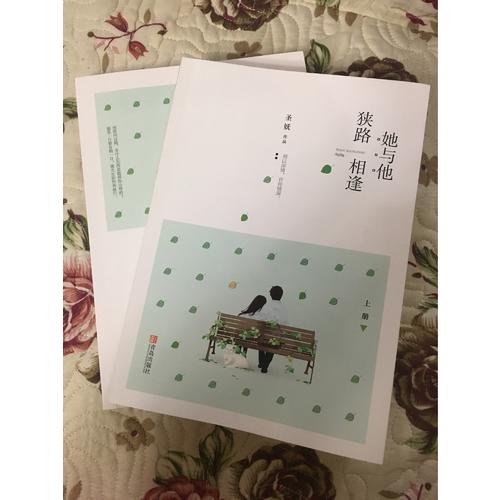 她与他，狭路相逢（共2册）