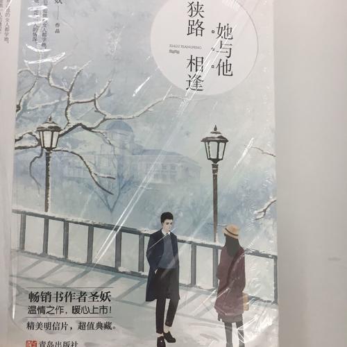 她与他，狭路相逢（共2册）