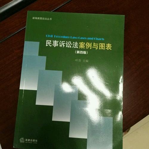 民事诉讼法：案例与图表（第四版）