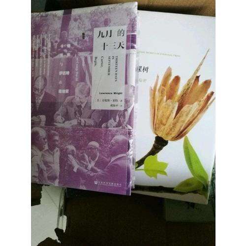 甲骨文丛书·九月的十三天：卡特、贝京与萨达特在戴维营