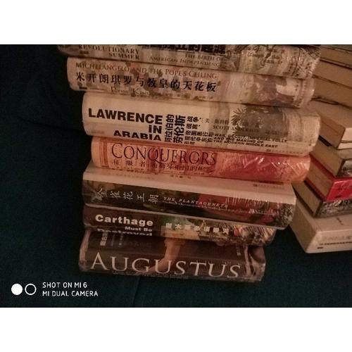 甲骨文丛书·巨变：当代政治与经济的起源