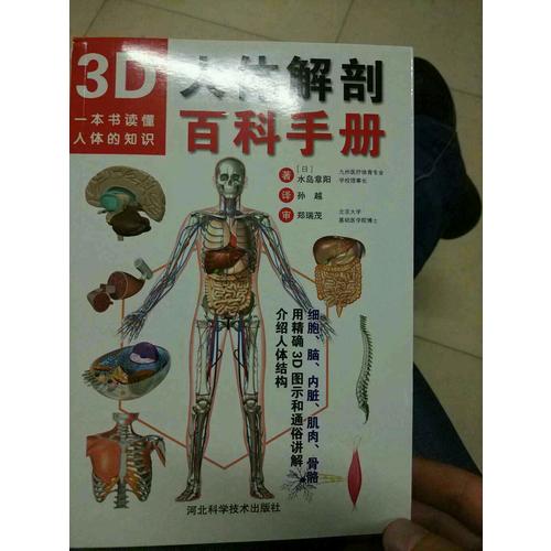 3D人体解剖百科手册