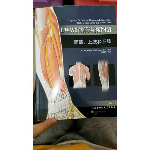 LWW解剖学精要图谱·背部上肢和下肢