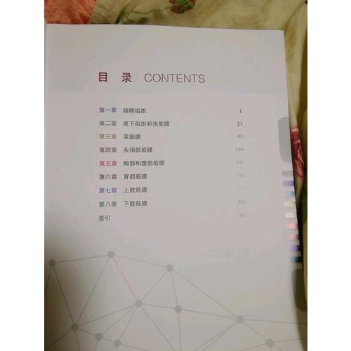 人体筋膜系统功能解剖图谱