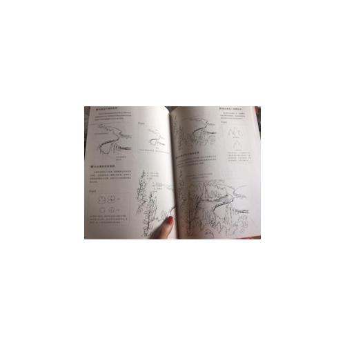 风景速写基础入门