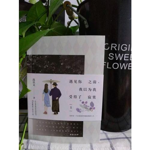 遇见你之前，我以为我受得了寂寞