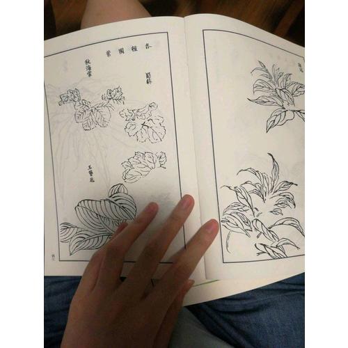 芥子园画传（全8册）