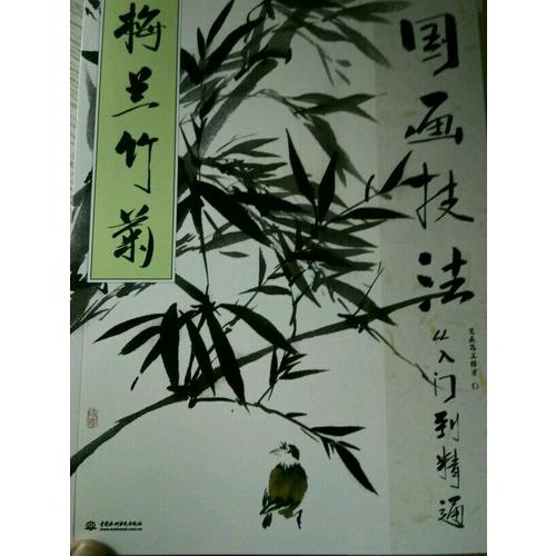 国画技法从入门到精通 梅兰竹菊