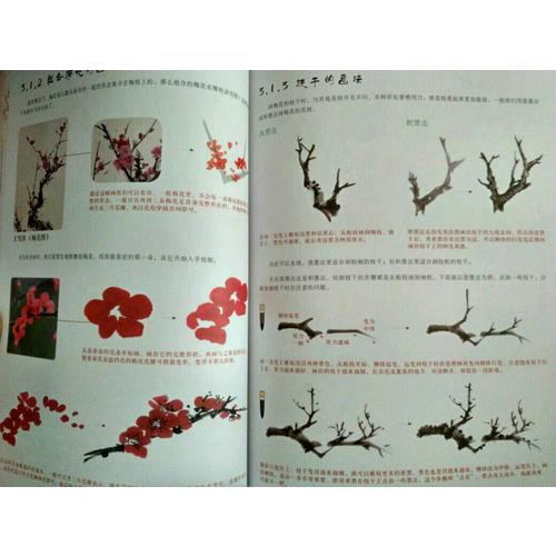 国画技法从入门到精通 梅兰竹菊