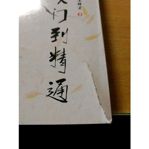 国画技法从入门到精通 梅兰竹菊