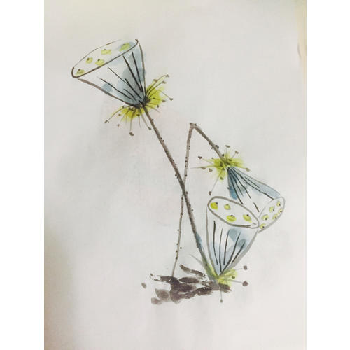 国画技法从入门到精通 四季百花