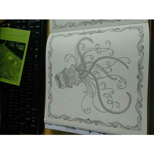  秘密花园3·迷失海洋 (裸脊线装版)