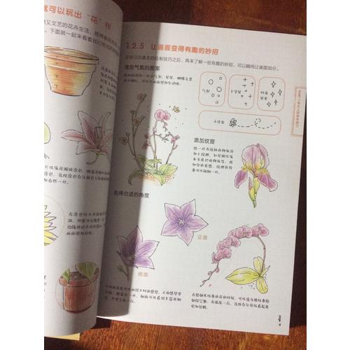 色铅笔的温情手绘，我的花花草草