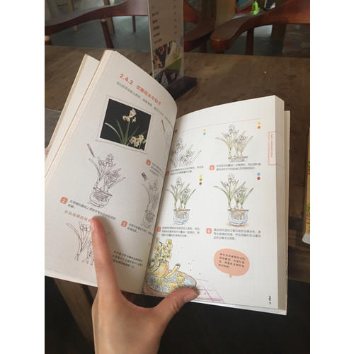 色铅笔的温情手绘，我的花花草草