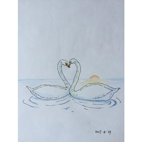 色铅笔的温情手绘，我的花花草草