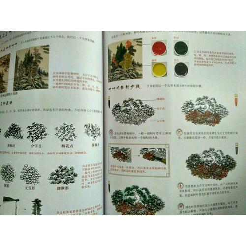 国画技法从入门到精通 山水林石