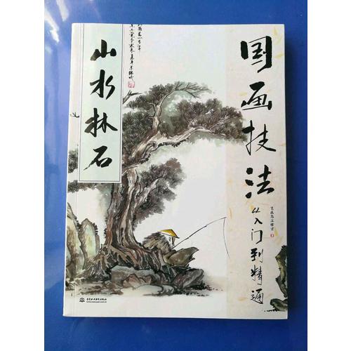 国画技法从入门到精通 山水林石