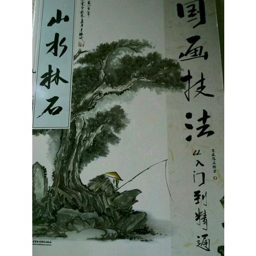 国画技法从入门到精通 山水林石