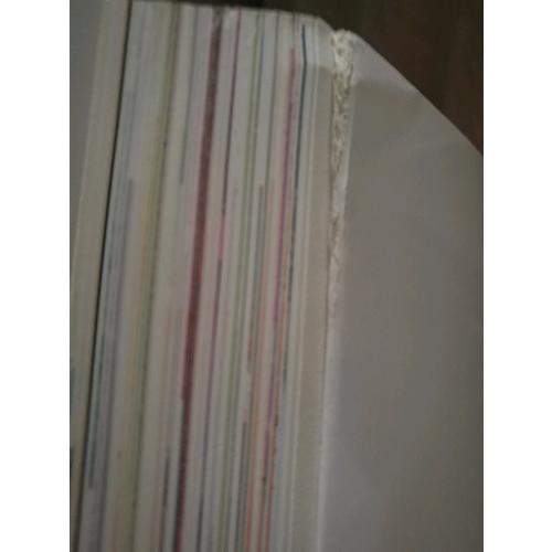 简·海恩斯的写意水彩