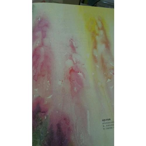 简·海恩斯的写意水彩