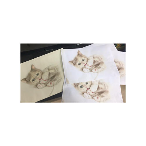 猫咪绘：33只萌猫的色铅笔图绘