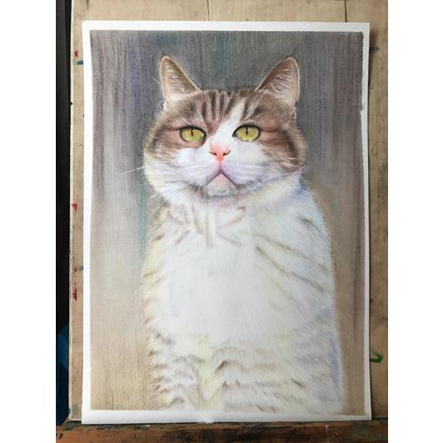 猫咪绘：33只萌猫的色铅笔图绘