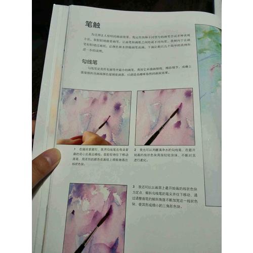 简·海恩斯的水彩光色瞬间