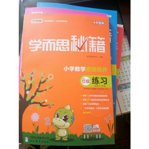 学而思秘籍·小学数学思维培养练习6级