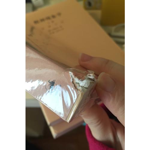 小逻辑(贺麟全集)