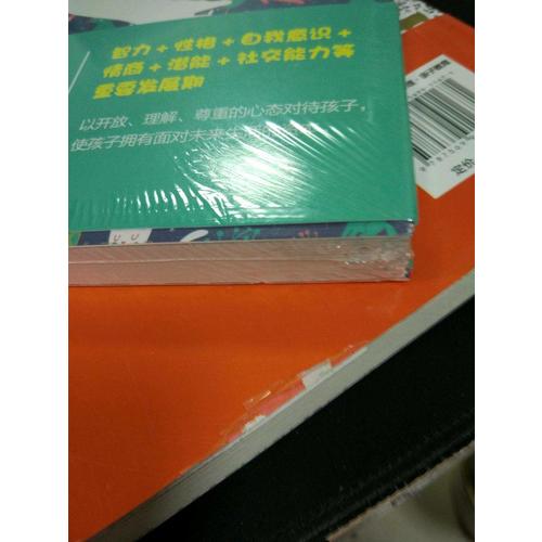 捕捉儿童的敏感期系列（共2册）