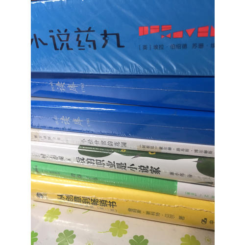 从创意到畅销书·修改与自我编辑（第二版）