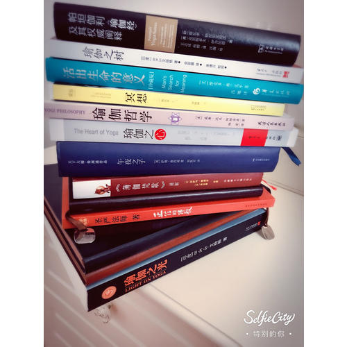 帕坦伽利《瑜伽经》及其阐释