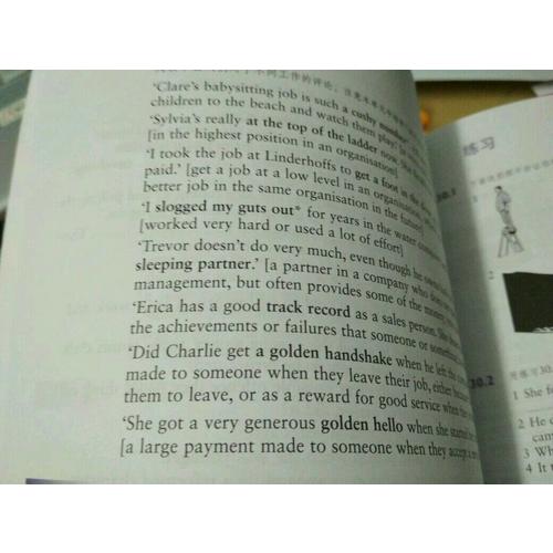 剑桥中级英语惯用搭配(中文版)