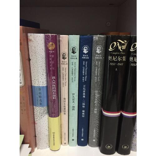 契诃夫独幕剧集（契诃夫戏剧全集）