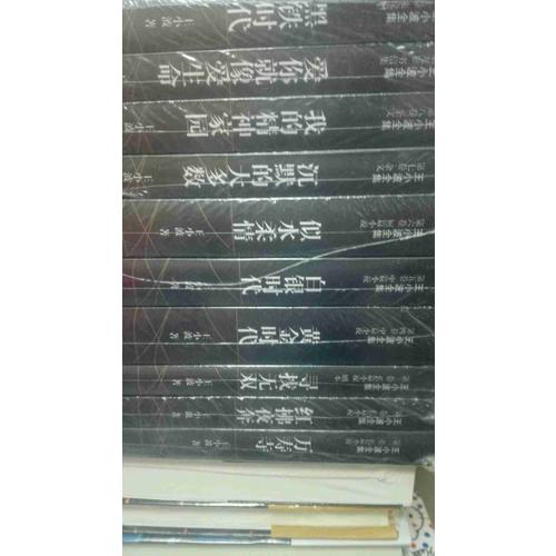 王小波全集（全10册）