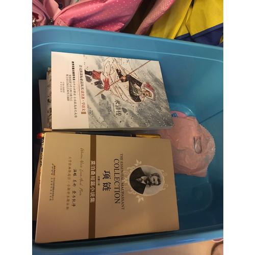 项链：莫泊桑短篇小说集