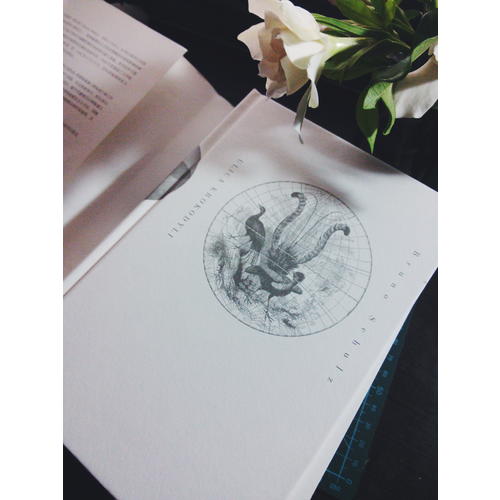 鳄鱼街: 布鲁诺·舒尔茨小说全集