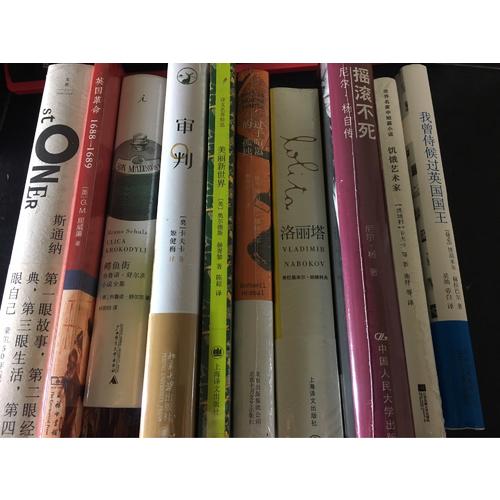 鳄鱼街: 布鲁诺·舒尔茨小说全集