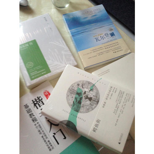 鳄鱼街: 布鲁诺·舒尔茨小说全集