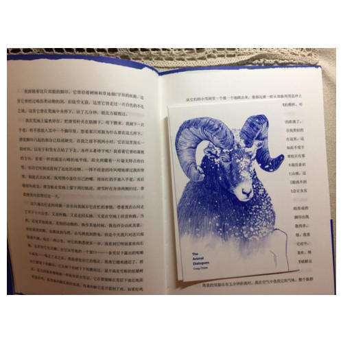 遇见动物的时刻