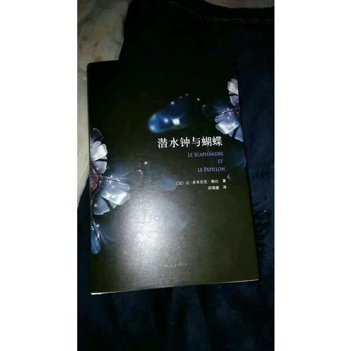 潜水钟与蝴蝶