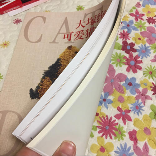 大塚绚子的可爱猫狗刺绣