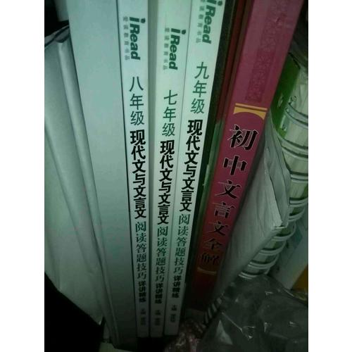 现代文与文言文阅读答题技巧详讲精练·九年级