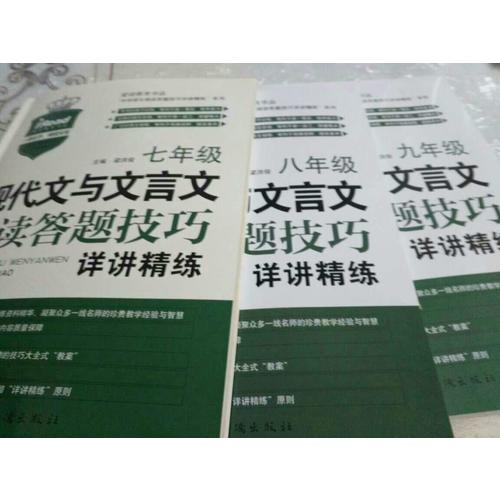 现代文与文言文阅读答题技巧详讲精练·九年级