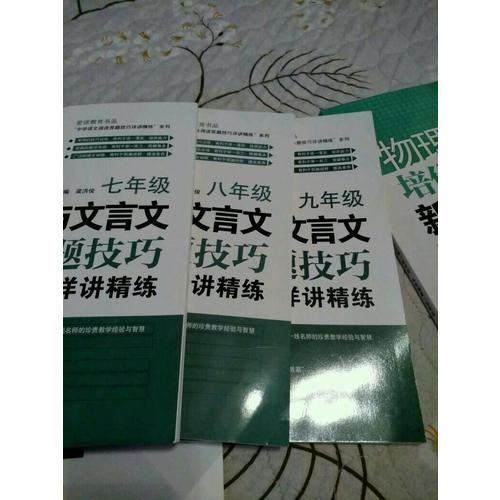 现代文与文言文阅读答题技巧详讲精练·九年级