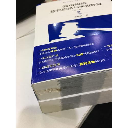 公司纠纷裁判思路与规范释解（第二版）