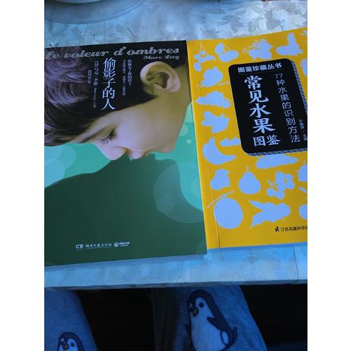 常见水果图鉴:77种水果的识别方法