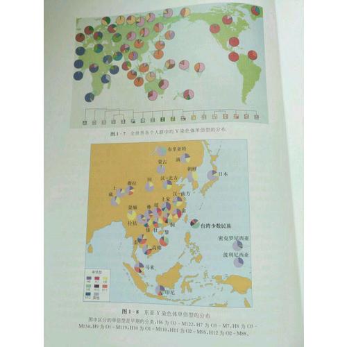 Y染色体与东亚族群演化